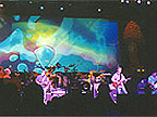Allman Brothers Band