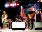 The Dexters