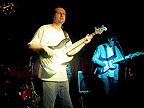 The Fat Cats