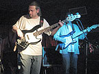 The Fat Cats