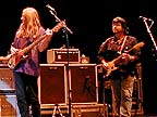 Ratdog