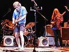 Ratdog