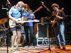 Ratdog
