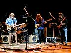 Ratdog