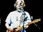 Ratdog