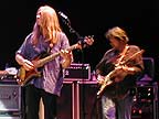 Ratdog