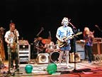 Ratdog