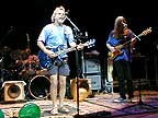 Ratdog