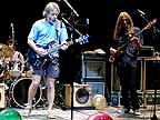 Ratdog